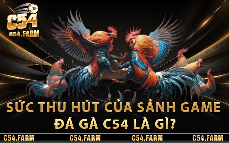 Sức thu hút của sảnh game đá gà c54 là gì