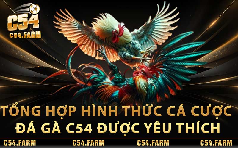 Tổng hợp hình thức cá cược đá gà C54 được yêu thích